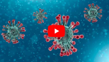 Corona Virus Gene Sequence Analysis Using MATLAB | Advanced Computational Insights